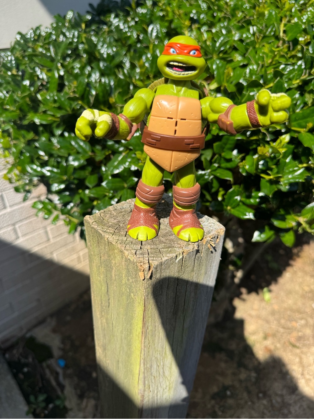 Green & Orange Turtle Action Figure Kids Toy